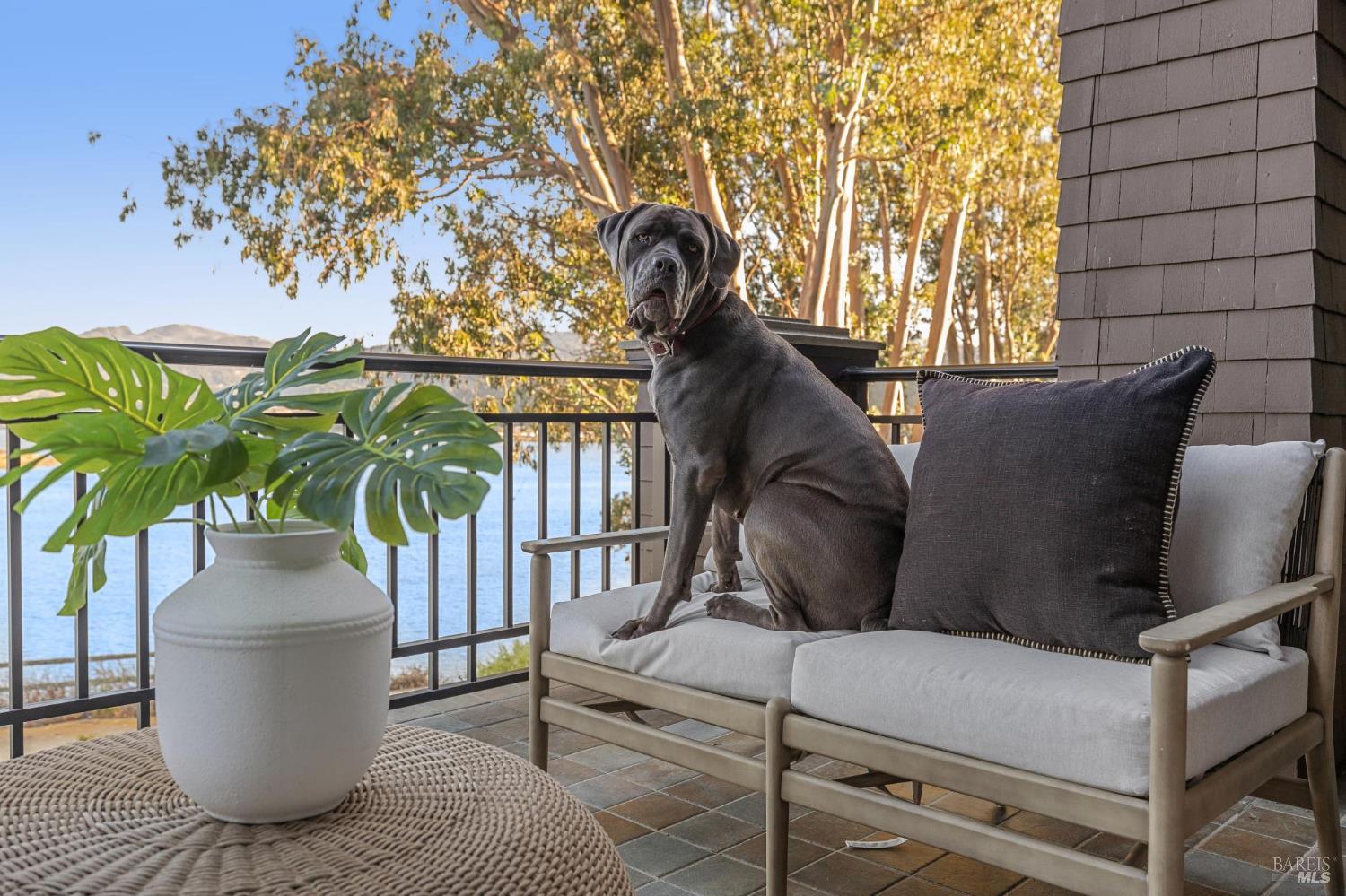 84 De Silva Island Drive