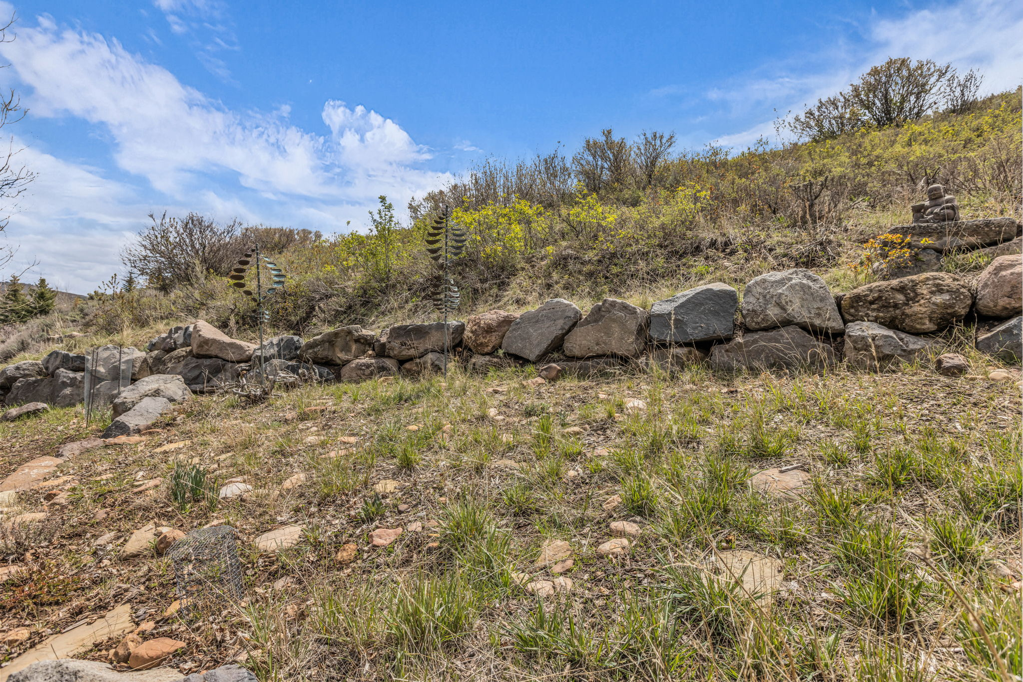 3137 W LOWER SADDLEBACK RD