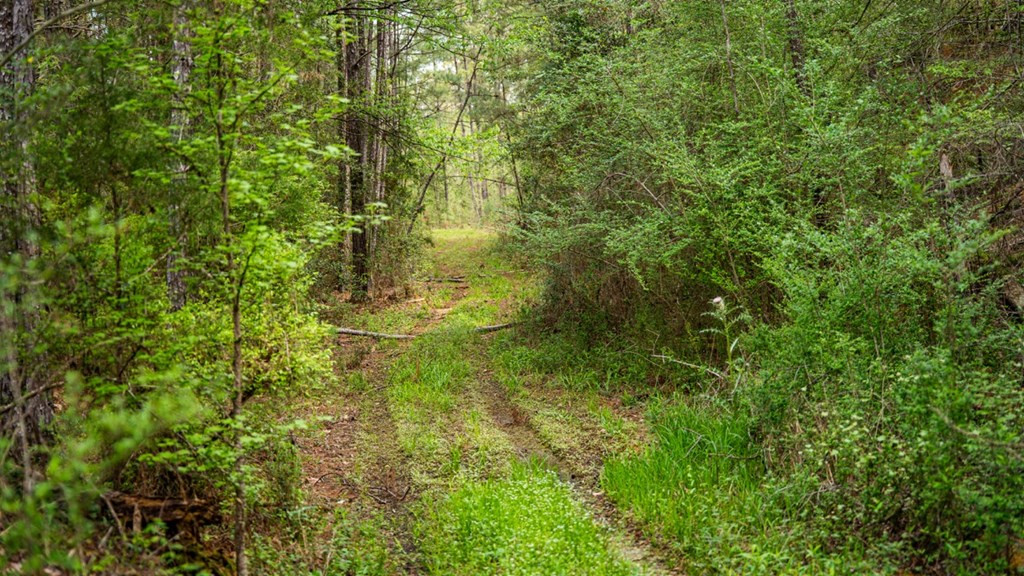 2008 Highway 24