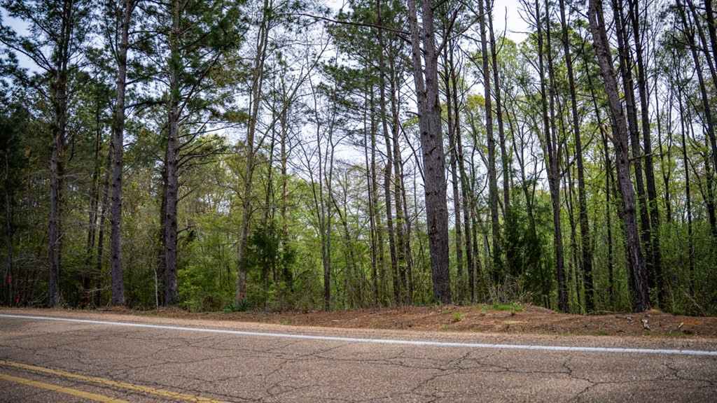 2008 Highway 24
