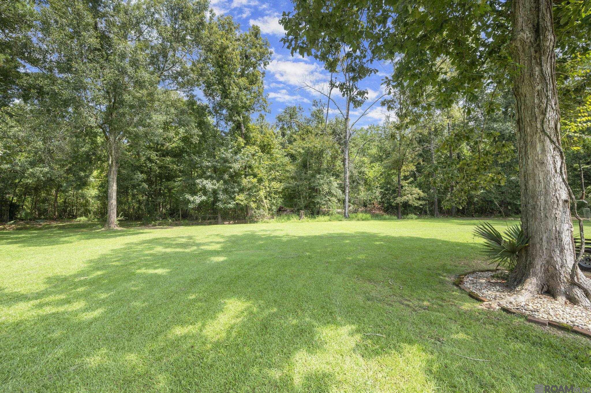 10838 Shoe Creek Dr