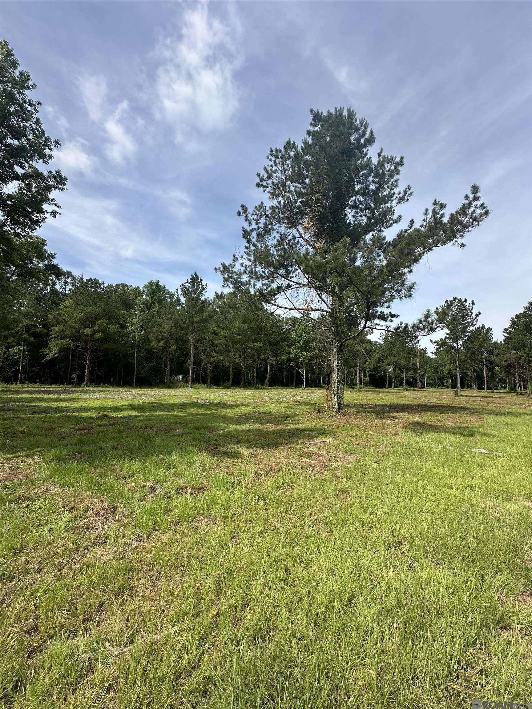 Tract B La Hwy 16