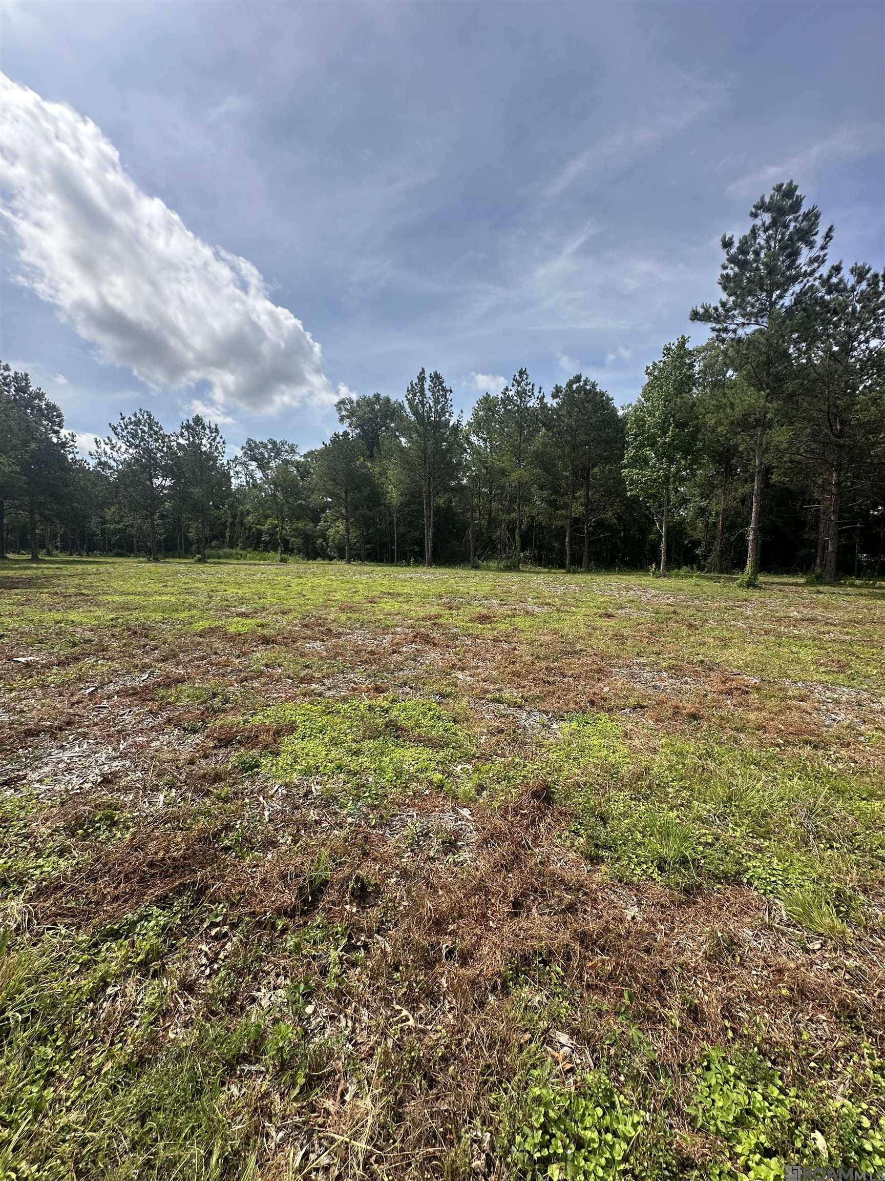 Tract B La Hwy 16
