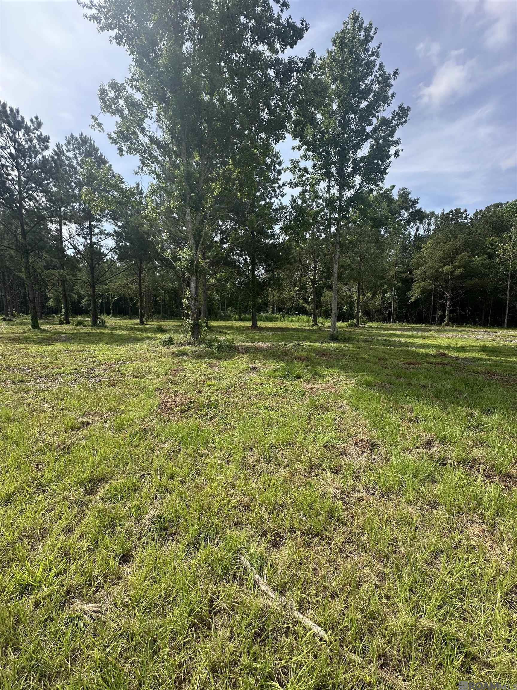 Tract B La Hwy 16
