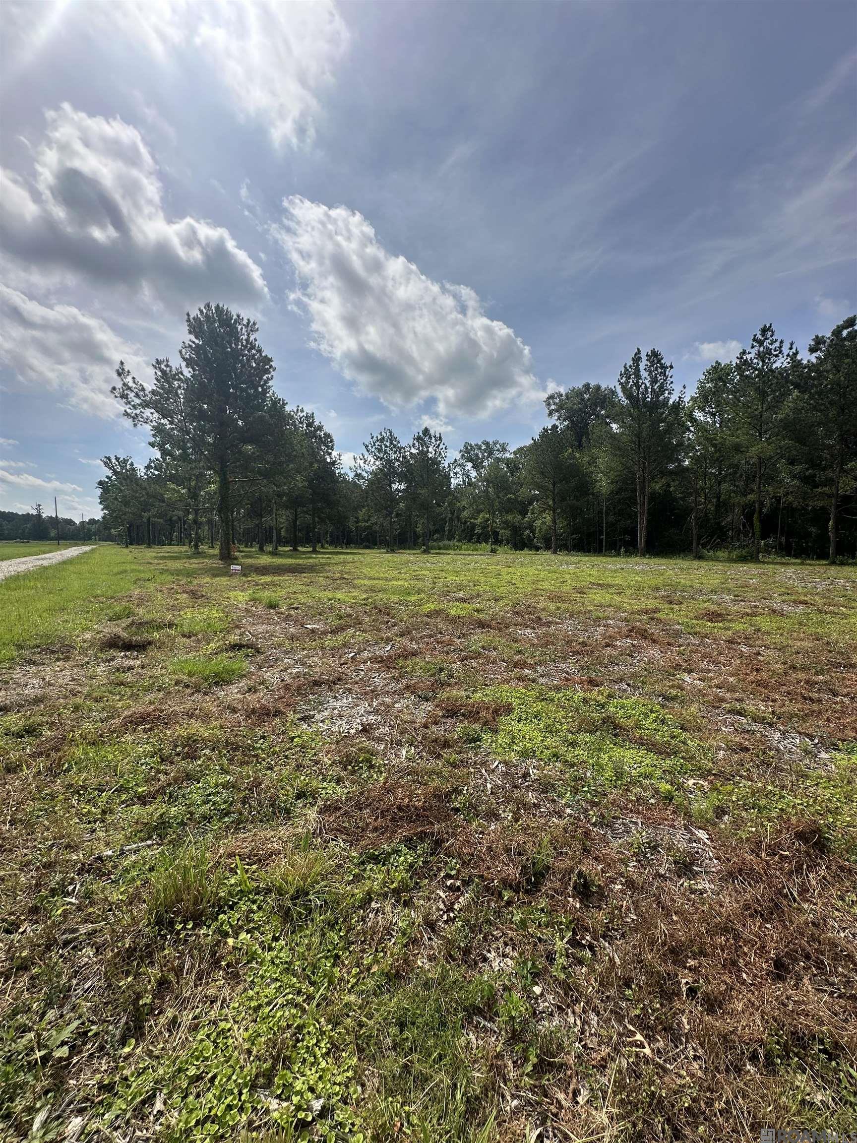 Tract B La Hwy 16