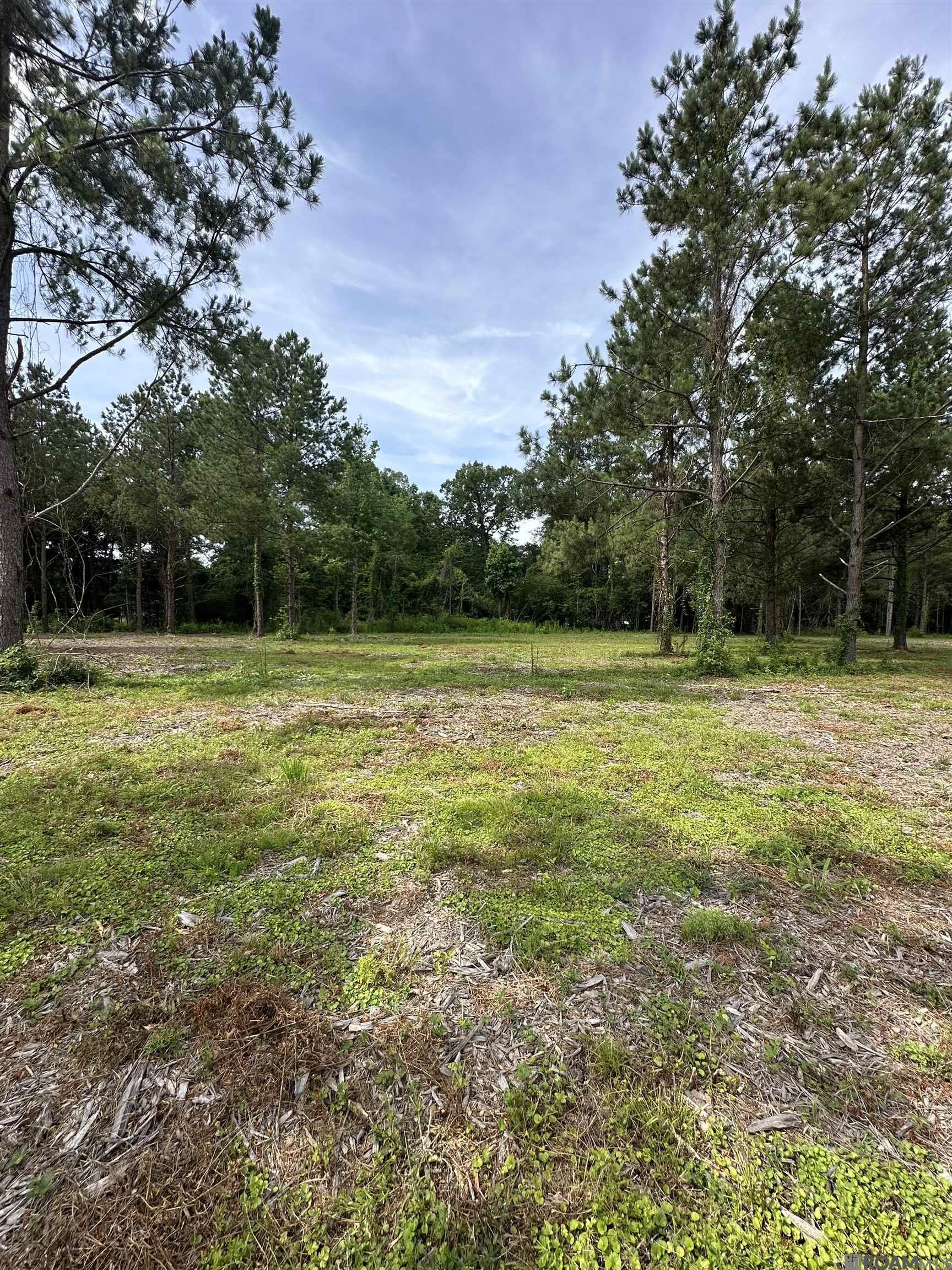 Tract B La Hwy 16