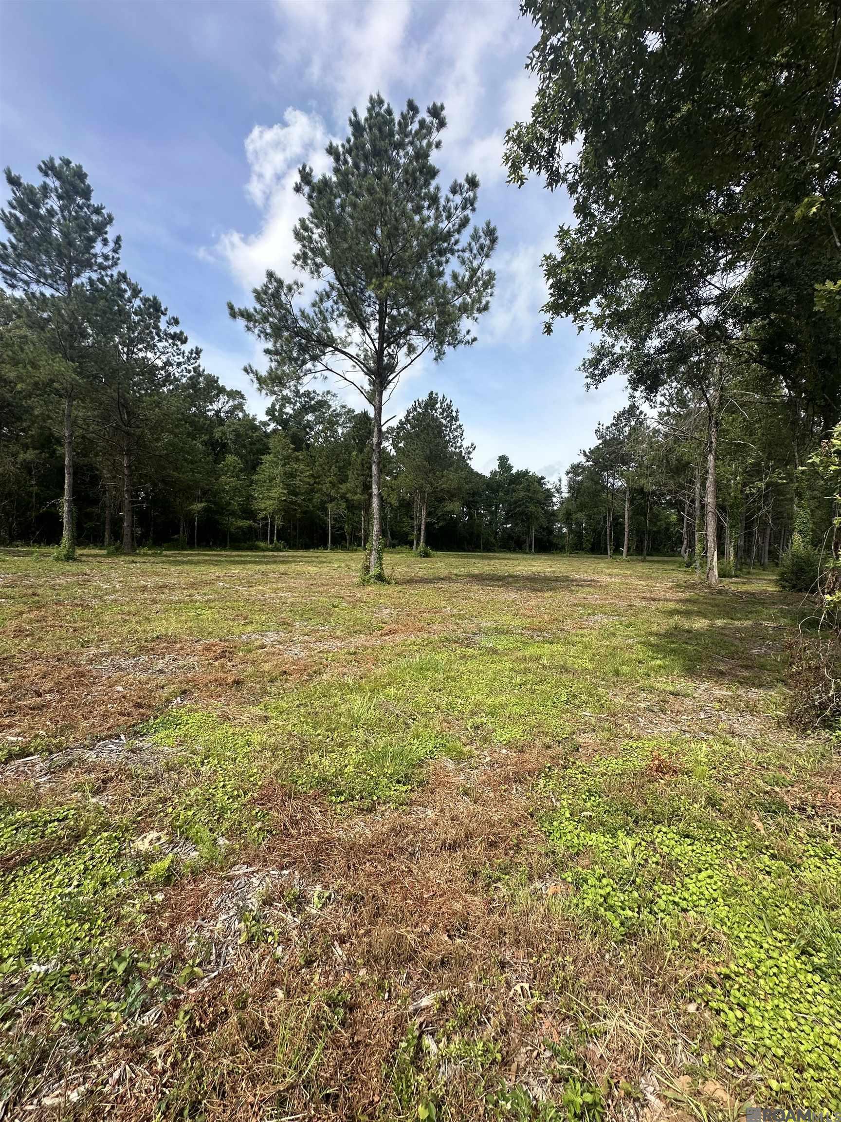 Tract B La Hwy 16