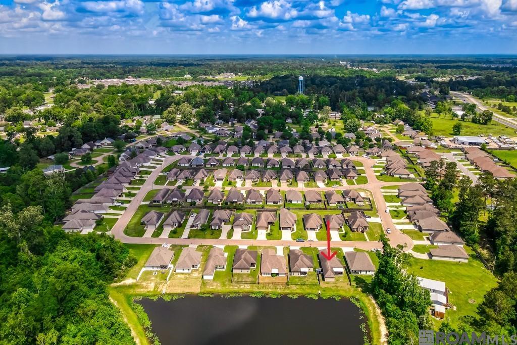 7758 Amite Springs Dr