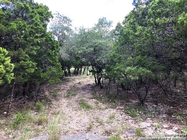 9415 Saddle Trail