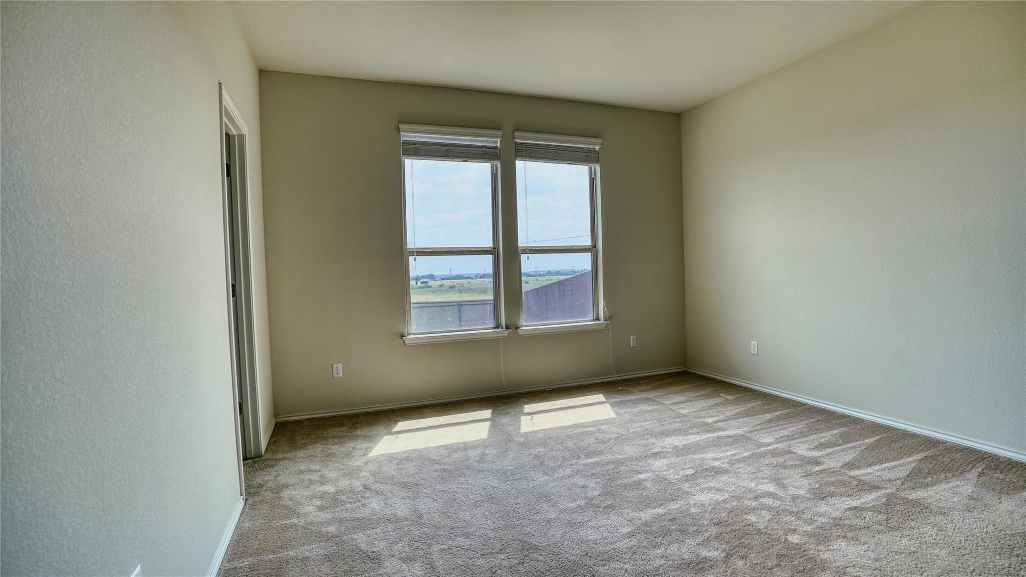 137 Carlina LOOP