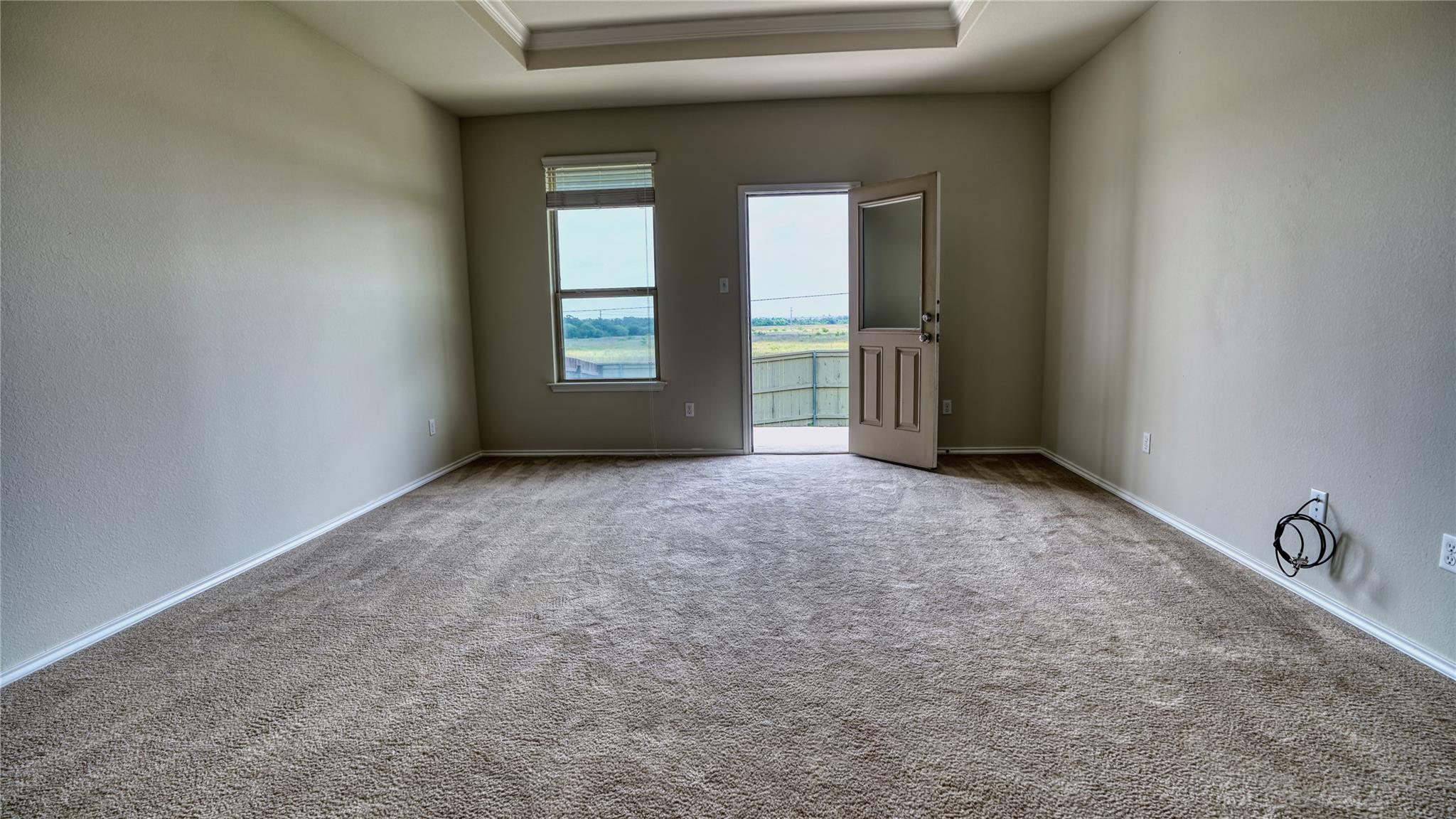 137 Carlina LOOP