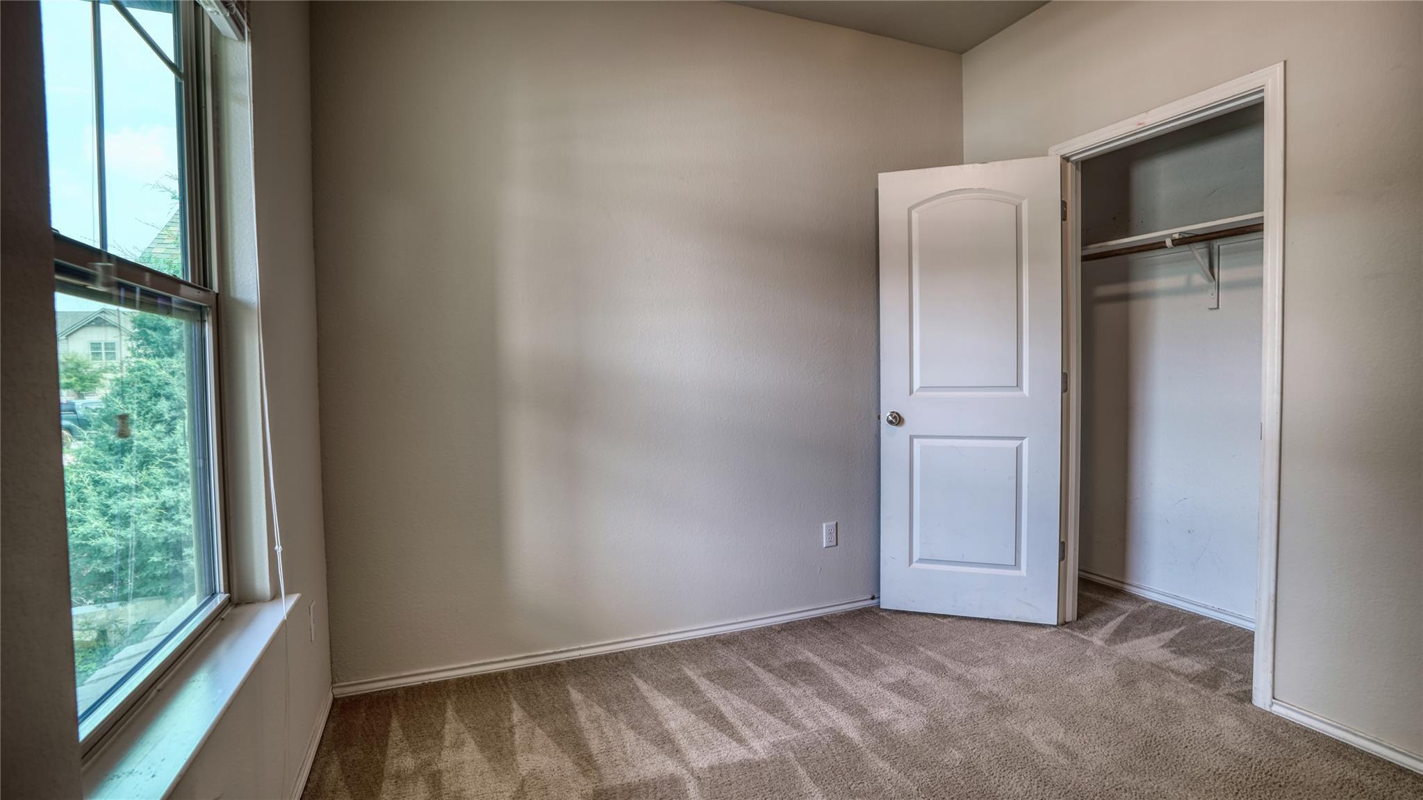 137 Carlina LOOP