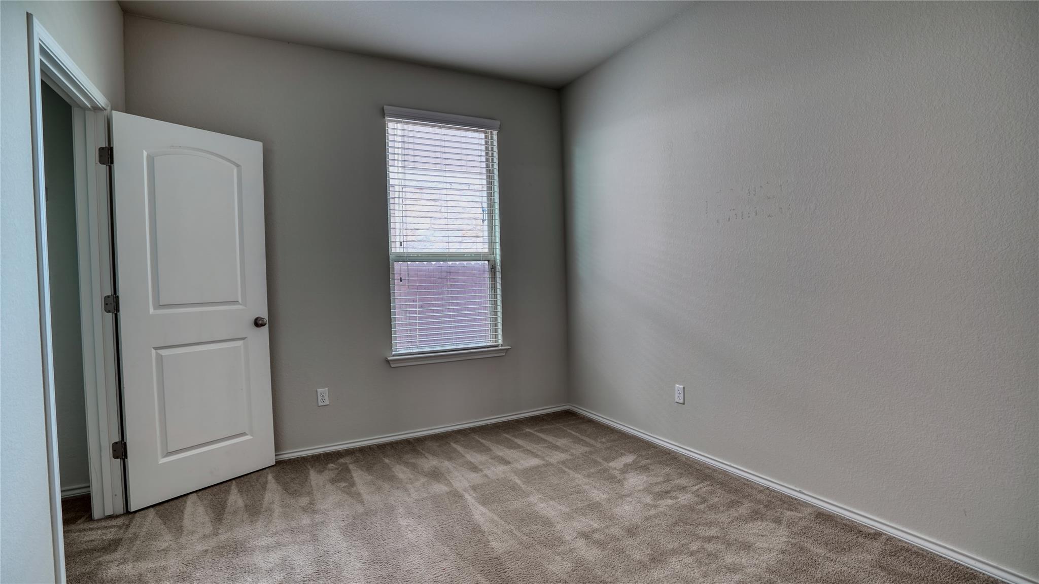 137 Carlina LOOP