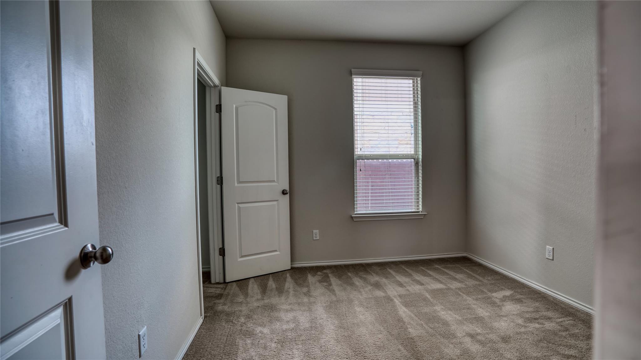 137 Carlina LOOP