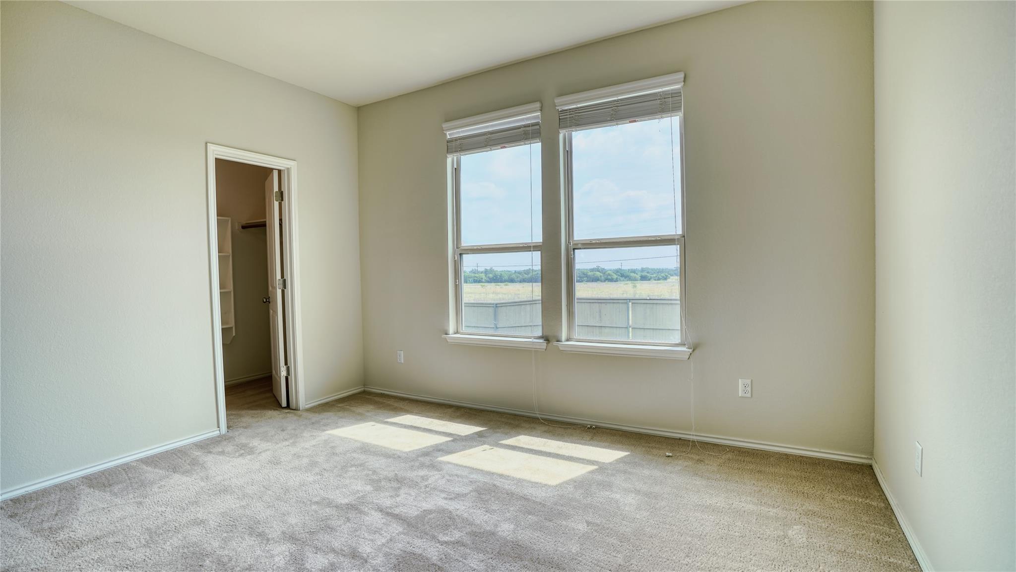 137 Carlina LOOP