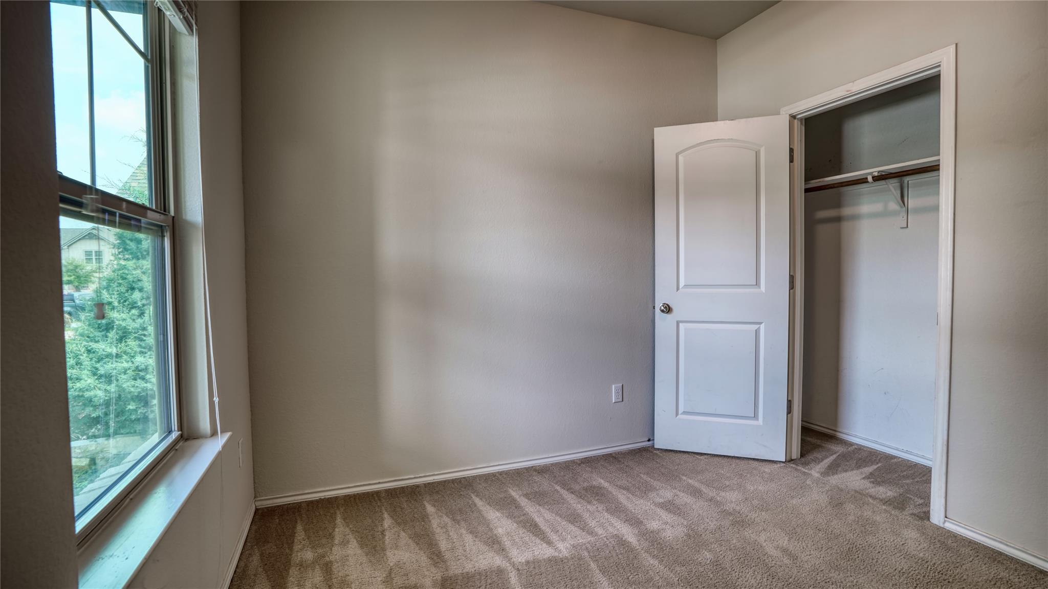 137 Carlina LOOP