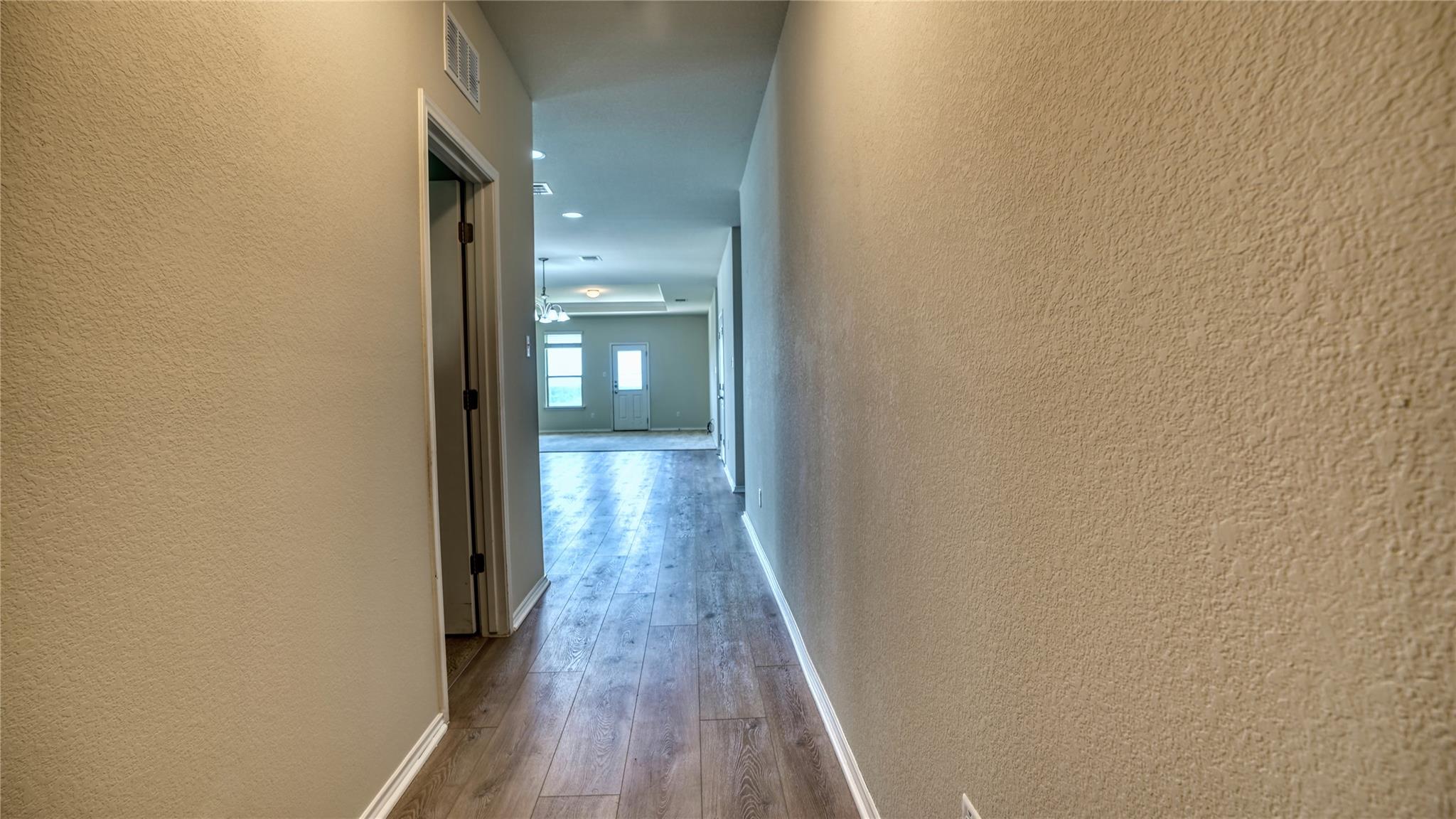 137 Carlina LOOP