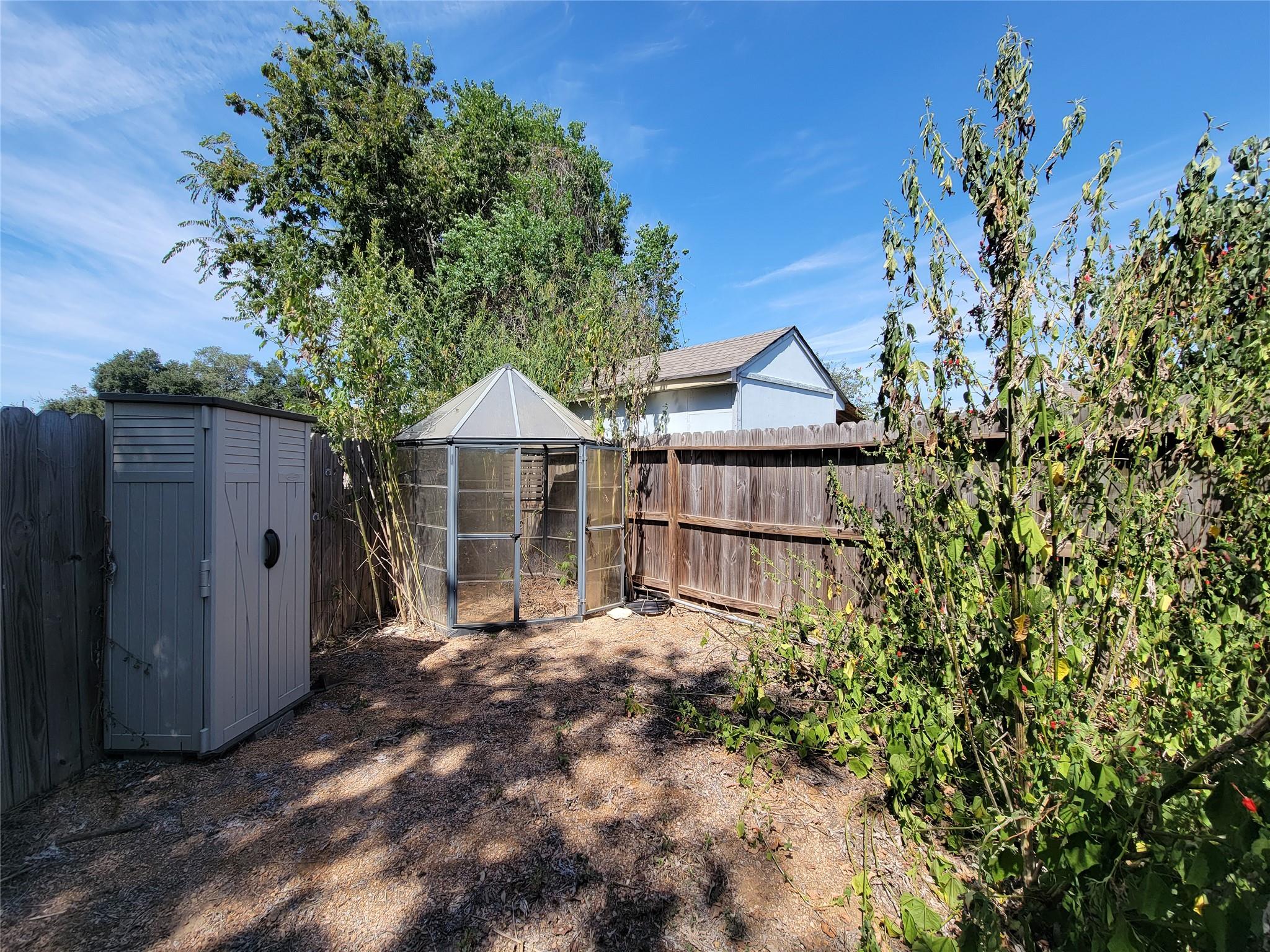 Fenced backyard with a glass greenhouse, storage shed, and tall leafy plants.