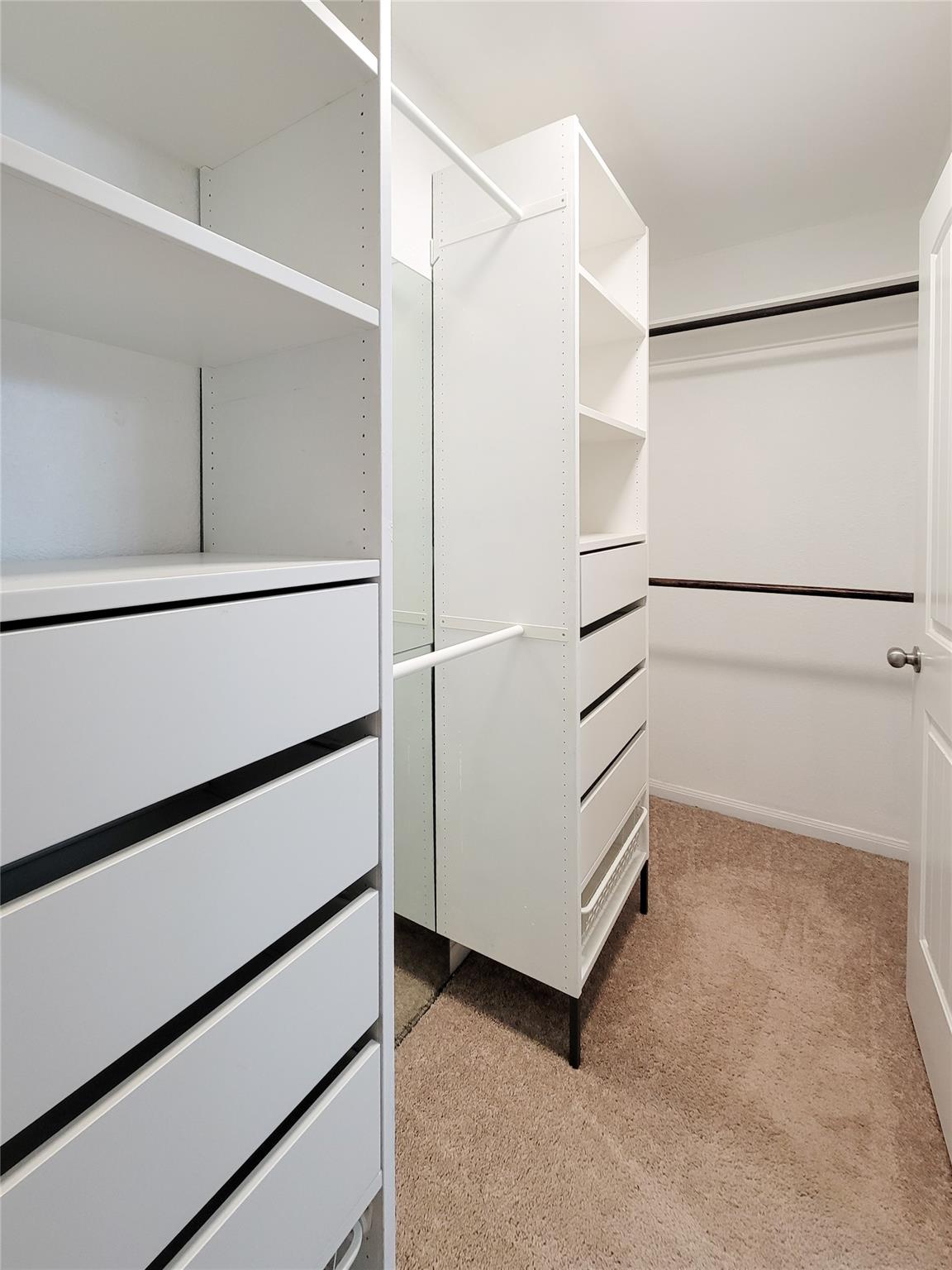 Walk-in closet with white shelving and drawers, hanging rods, and beige carpet.