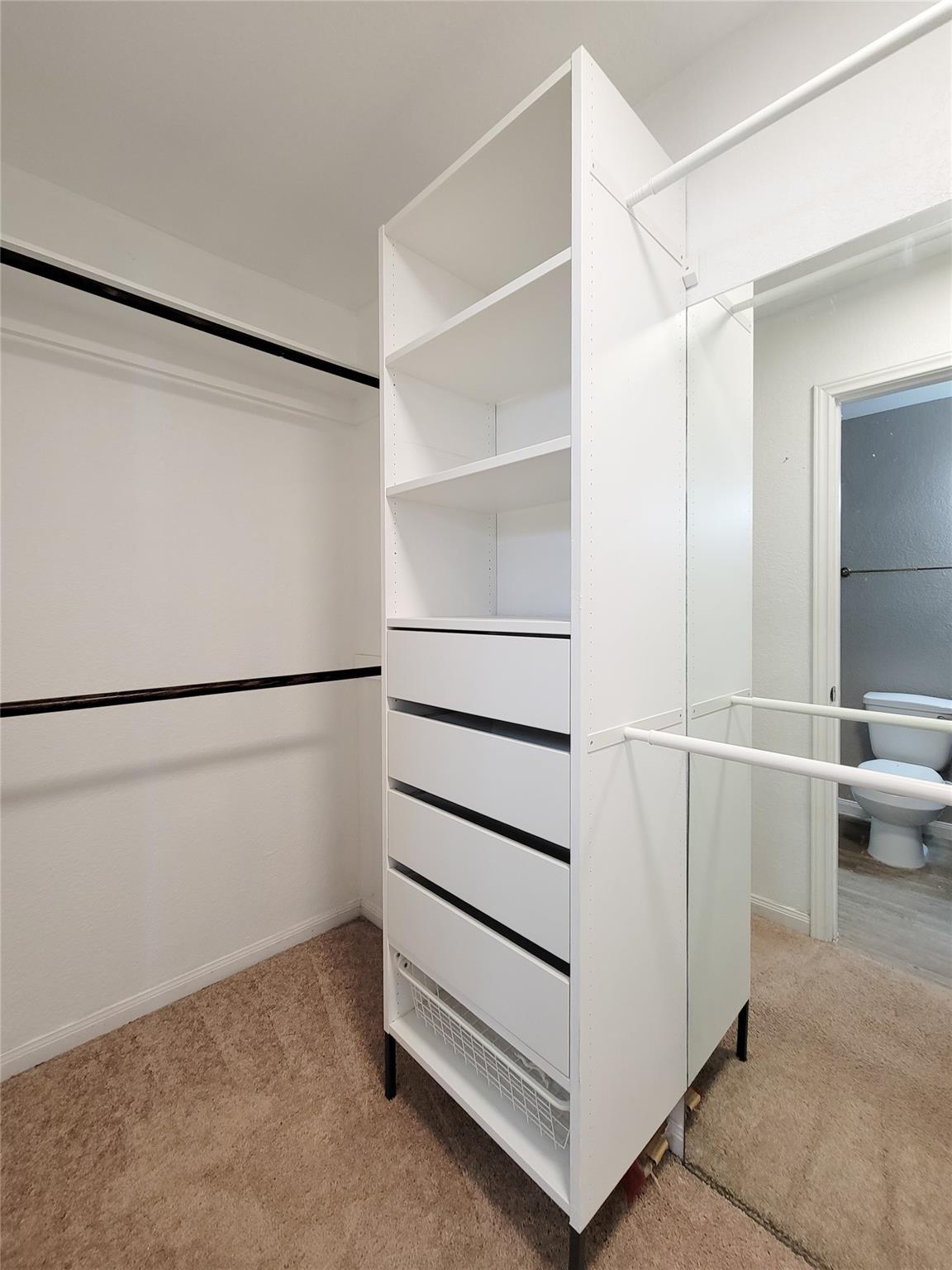 Walk-in closet with a white shelving and drawer organizer, hanging rods, and beige carpet.