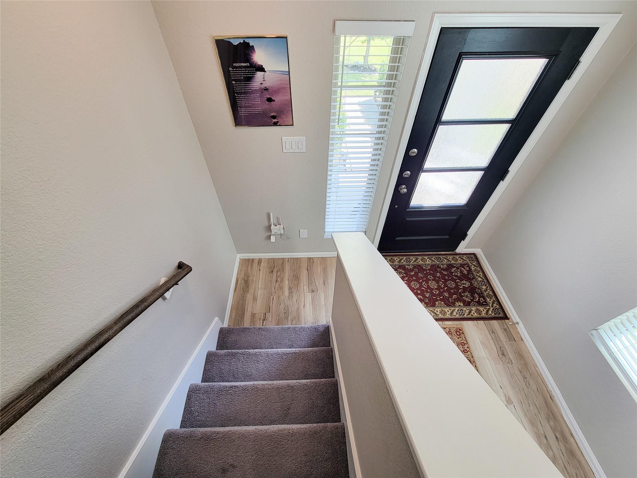 Carpeted staircase descends to an entry foyer with a dark glass-paneled door and wood-look flooring.