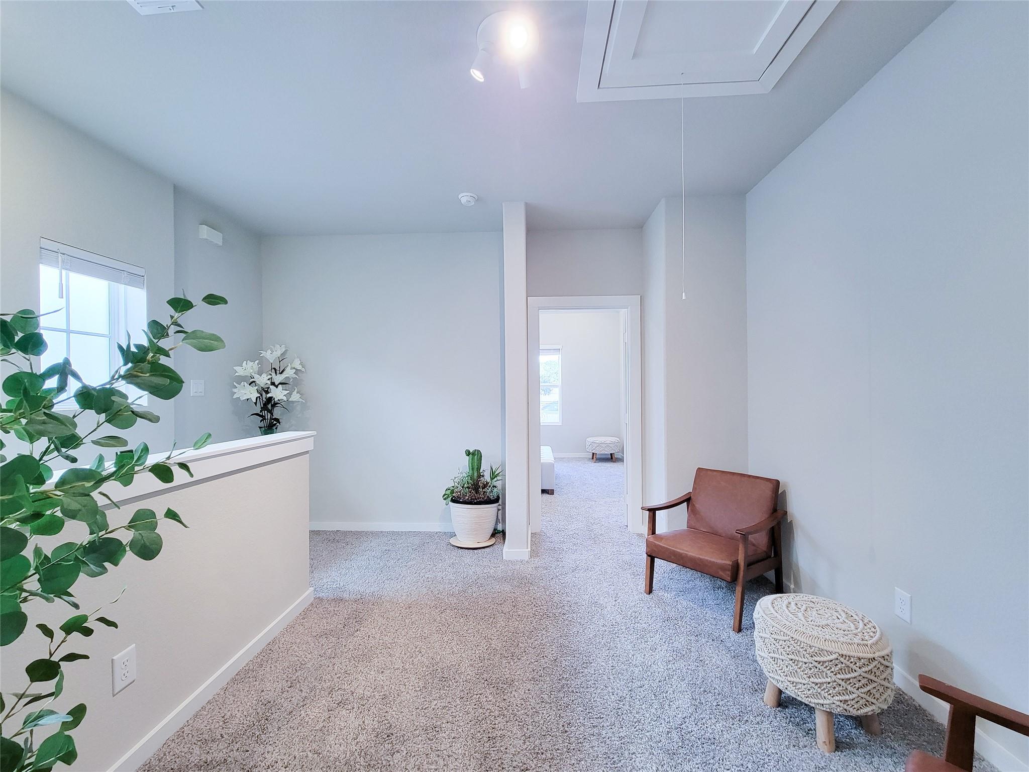 Carpeted upstairs hallway with a brown accent chair, potted plants, and an open doorway.