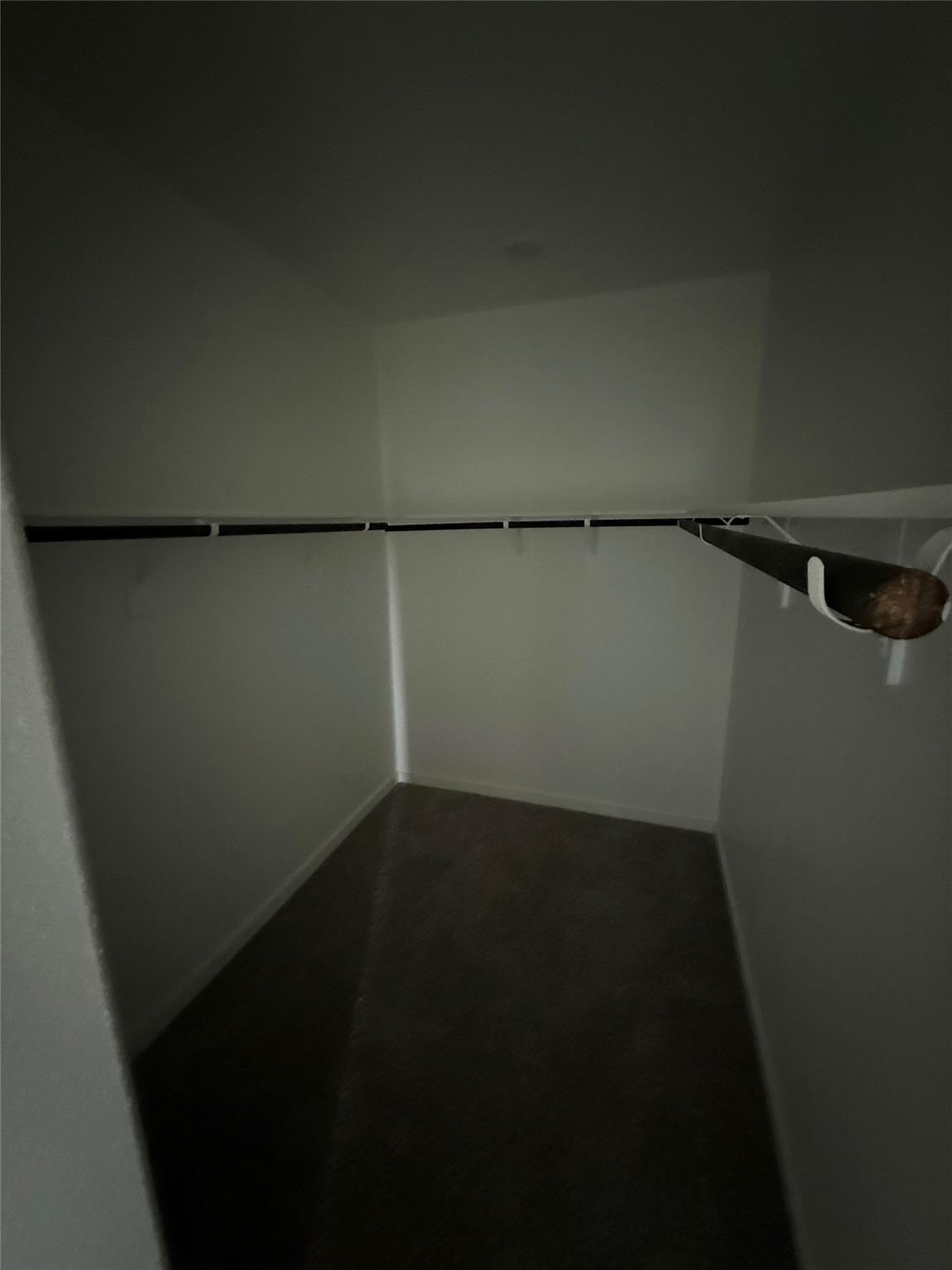 Empty carpeted closet with a built-in shelf and hanging rod.