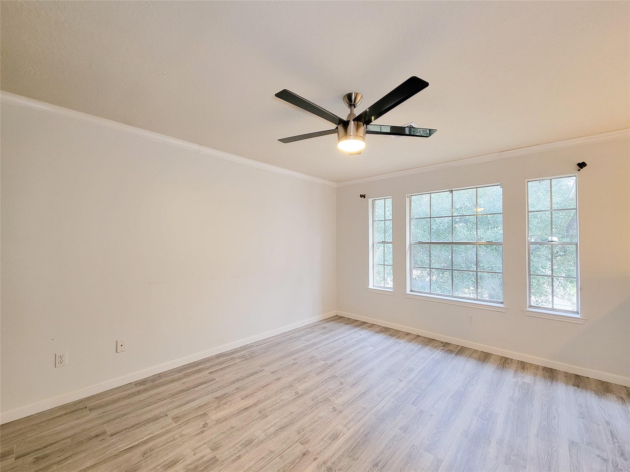 16842 Anna Green Street