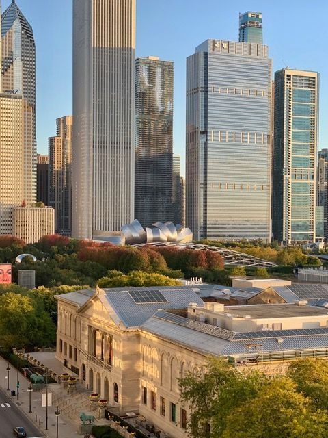 310 S Michigan Avenue Unit: 1100