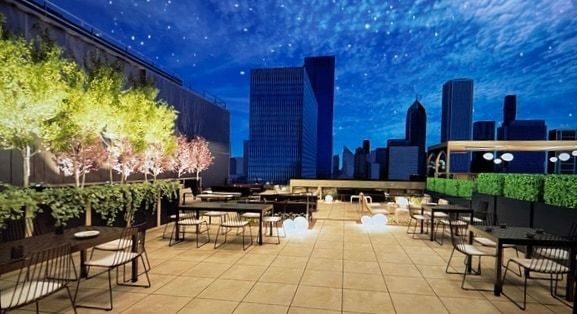 310 S Michigan Avenue Unit: 1100