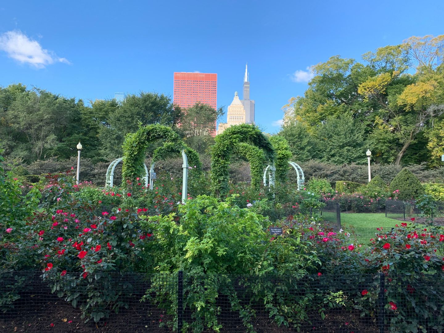 310 S Michigan Avenue Unit: 1100