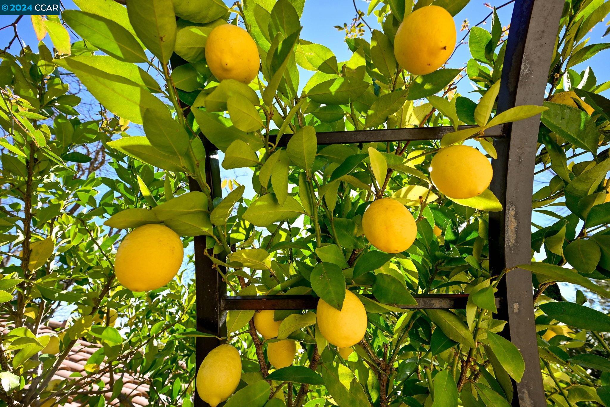 252 Livorna Heights Rd