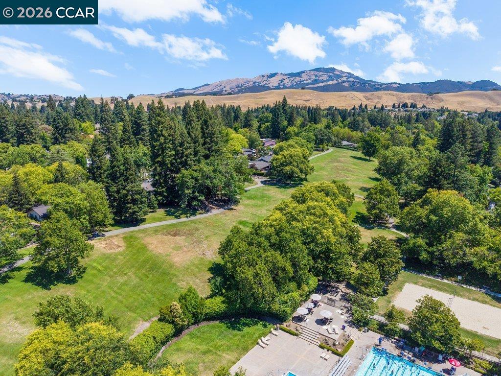 401 Old Orchard Ct