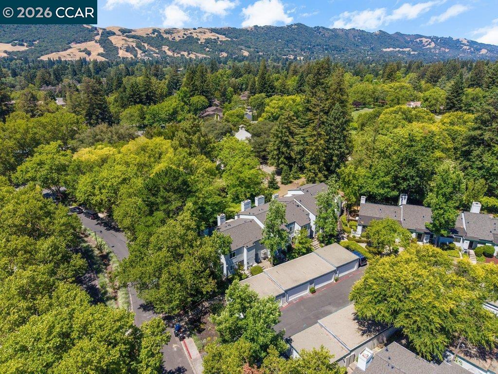 401 Old Orchard Ct