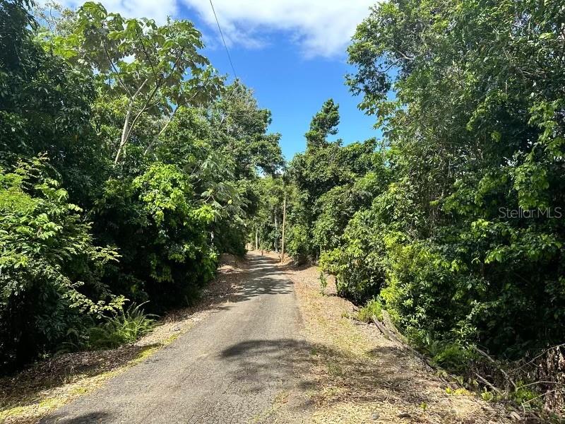 Road PR-140 km 34.2 BARRIO DON ALONSO