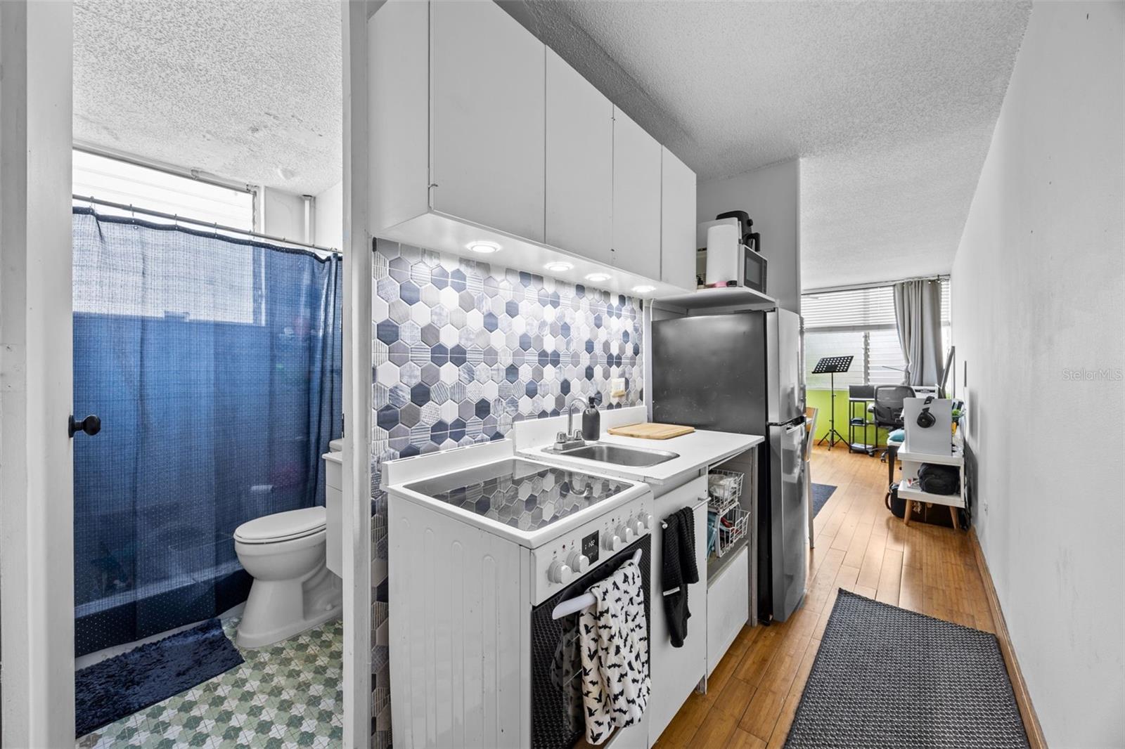 708 Calle Central CONDOMINIO ROYAL HOUSE #405