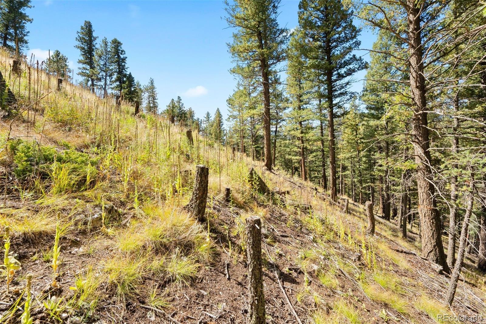Lot 83 Conifer Drive