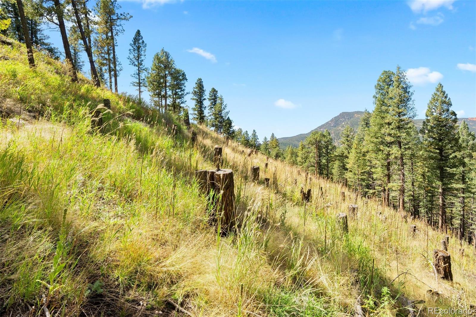 Lot 83 Conifer Drive