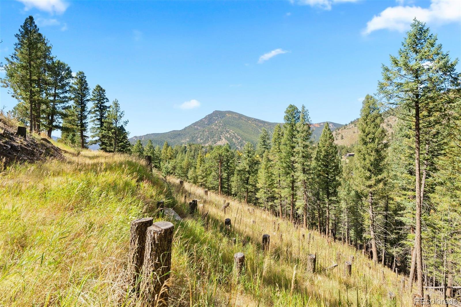 Lot 83 Conifer Drive