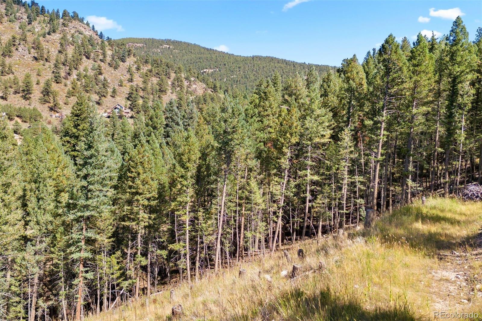 Lot 83 Conifer Drive