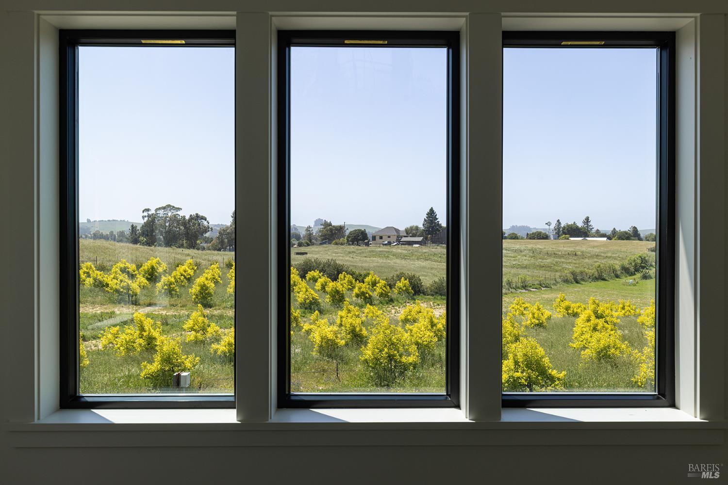 2041 Live Oak Farm Ln