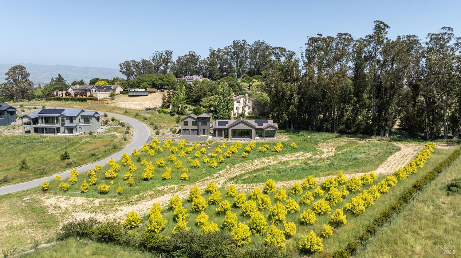 2041 Live Oak Farm Ln