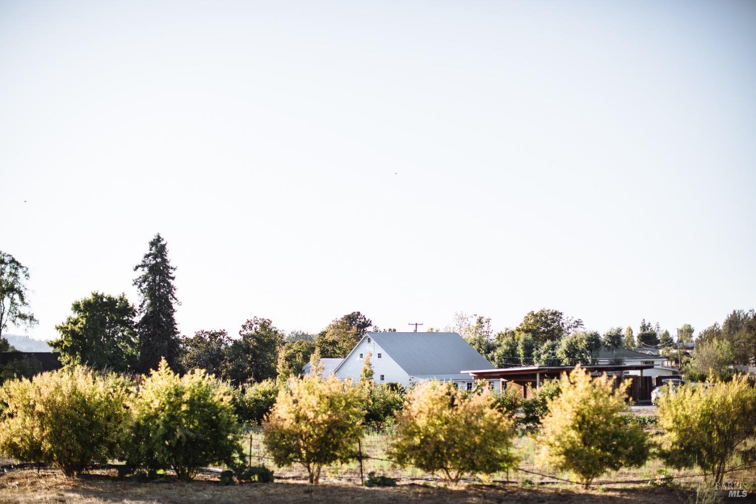 2034 Live Oak Farm Ln