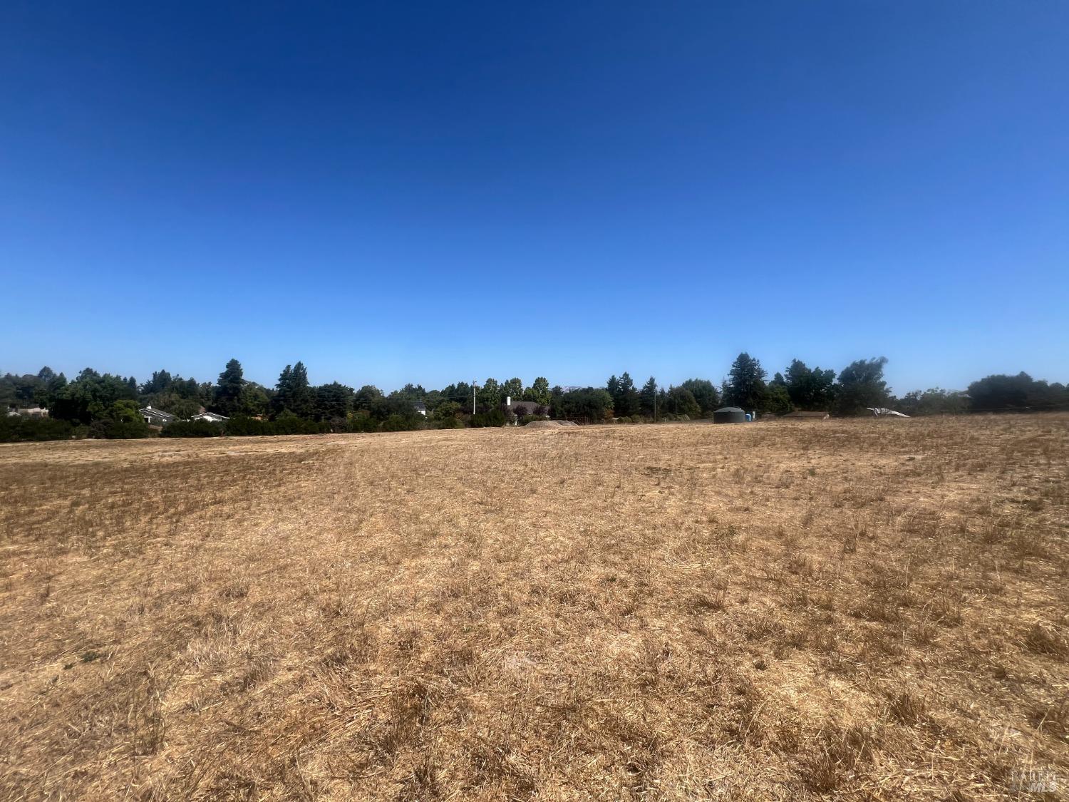 2174 Live Oak Farm Ln