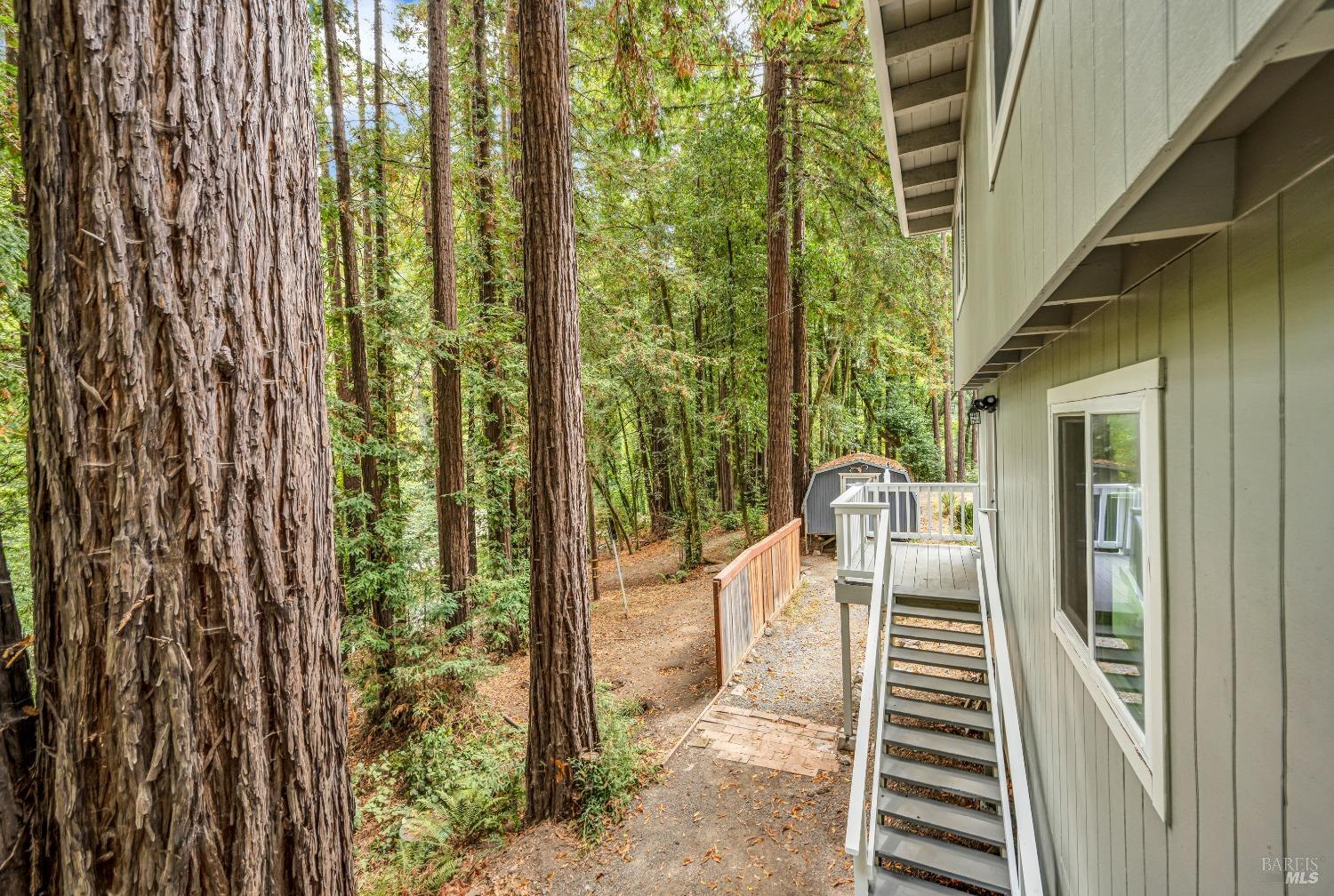 485 Cazadero Hwy