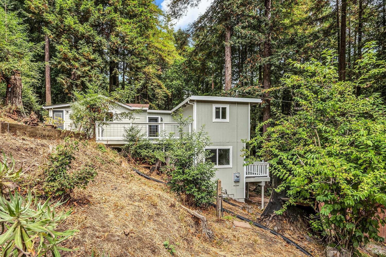 485 Cazadero Hwy