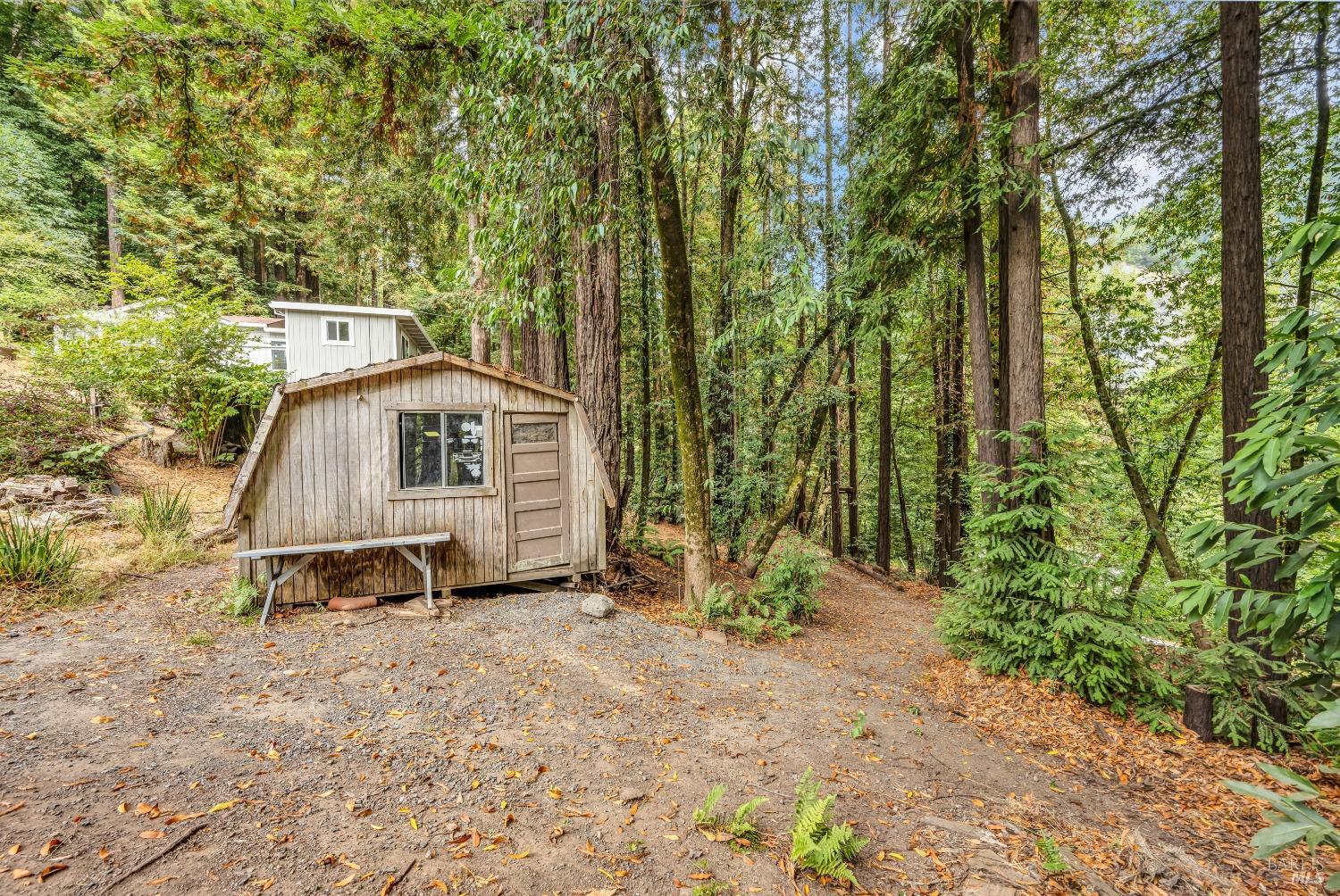 485 Cazadero Hwy