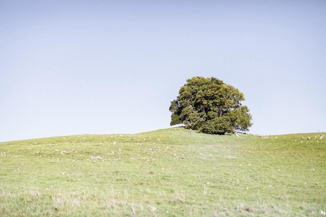 Ranch at Quailbrook Lane