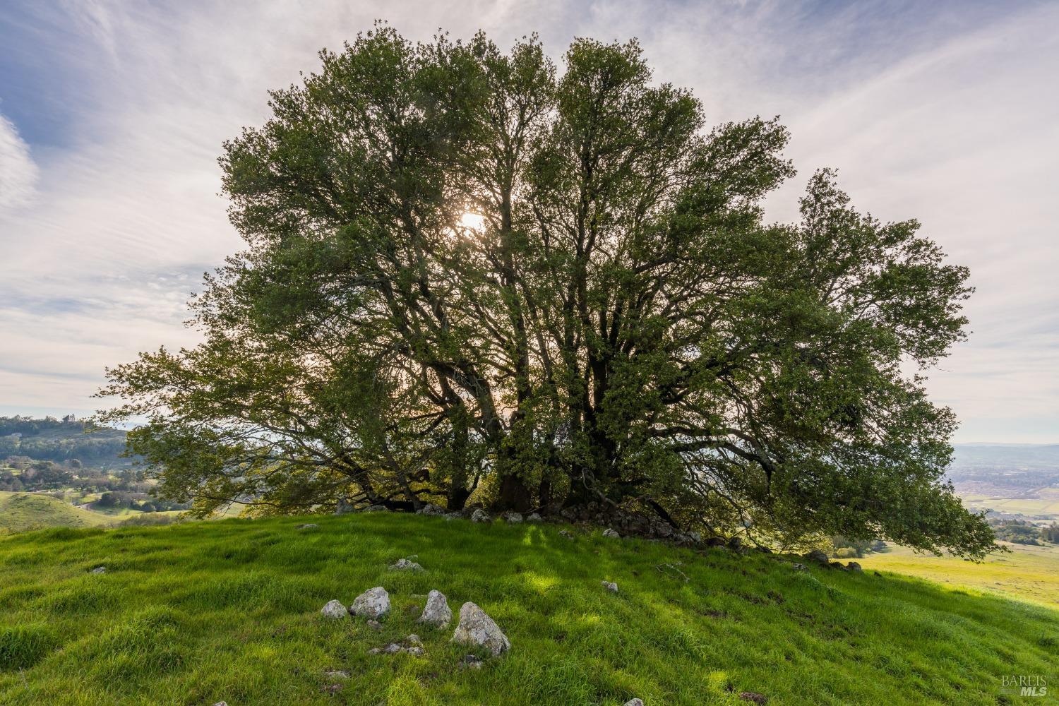 Ranch at Quailbrook Lane