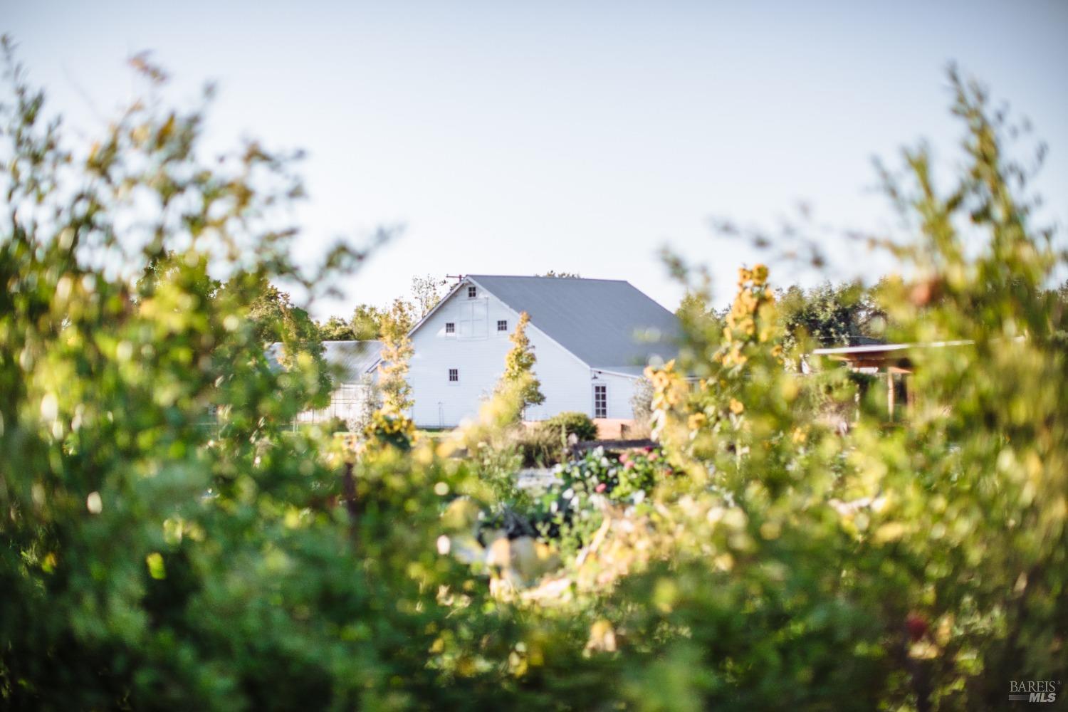 2183 Live Oak Farm Ln